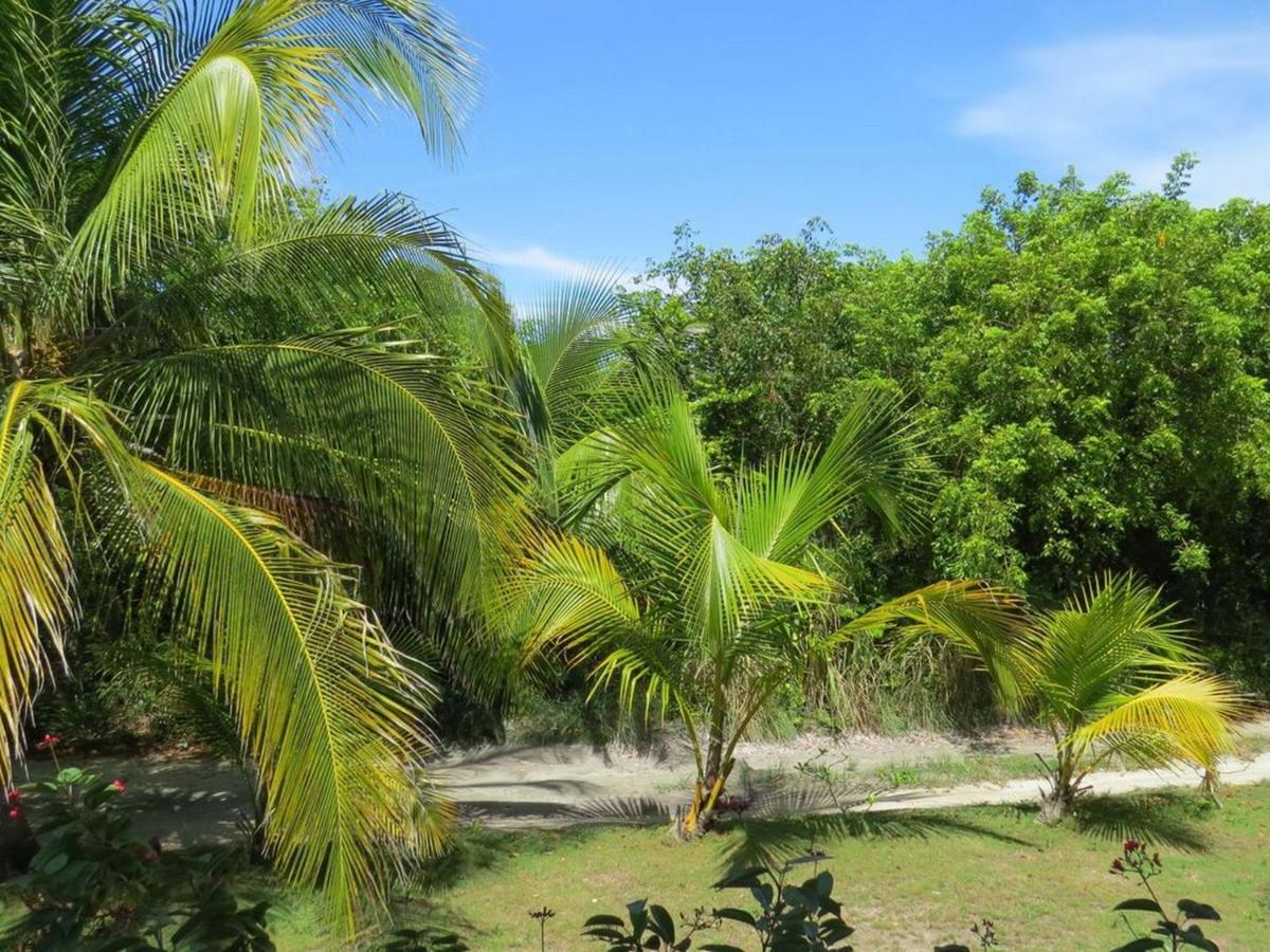 Orchid Cottage By Eleuthera Vacation Rentals Governor's Harbour Dış mekan fotoğraf