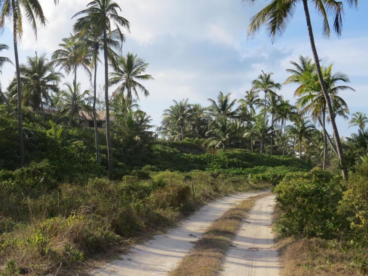 Orchid Cottage By Eleuthera Vacation Rentals Governor's Harbour Dış mekan fotoğraf